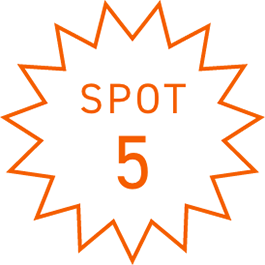 SPOT5