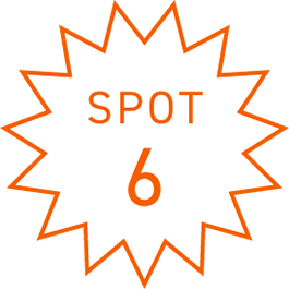 SPOT6