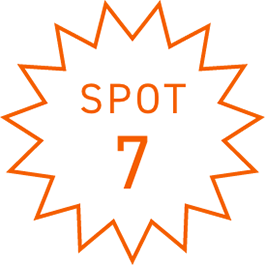 SPOT7