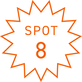 SPOT8