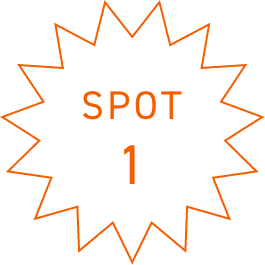 SPOT1