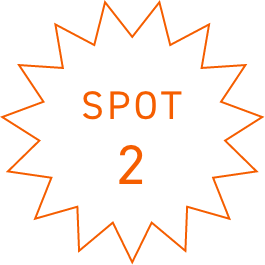 SPOT2
