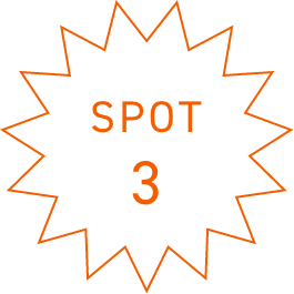 SPOT2