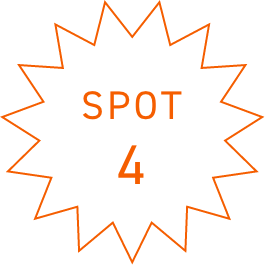 SPOT4