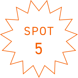 SPOT5