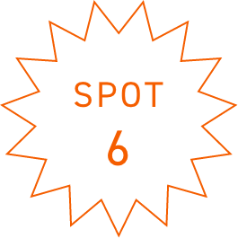 SPOT6