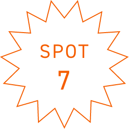 SPOT7