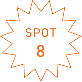 SPOT8